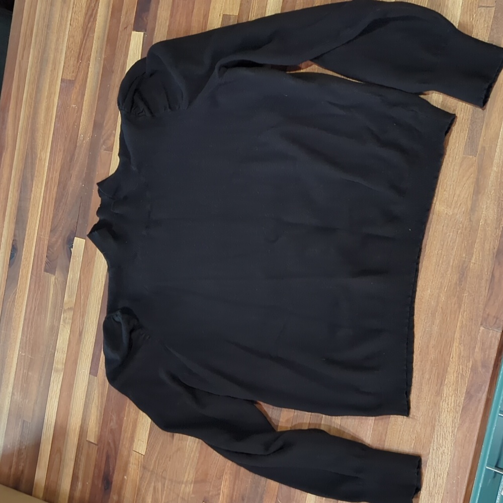 Express Puff Sleeve Turtle Neck